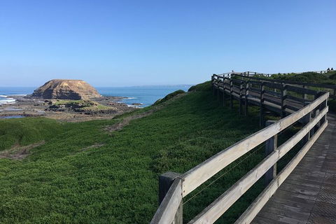 Day Tour Of Phillip Island, The Surrounding Region And Wine Tasting - Accommodation Redcliffe 11