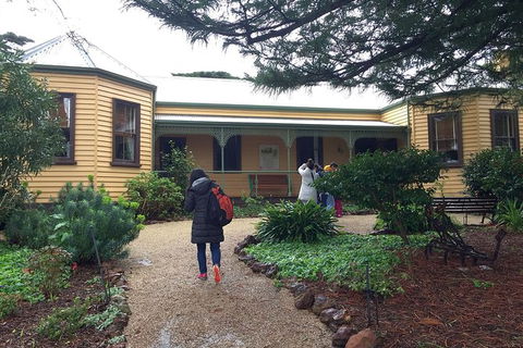Day Tour Of Phillip Island, The Surrounding Region And Wine Tasting - Accommodation Redcliffe 12