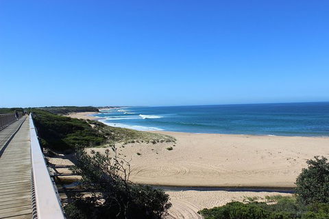Day Tour Of Phillip Island, The Surrounding Region And Wine Tasting - Accommodation Redcliffe 4