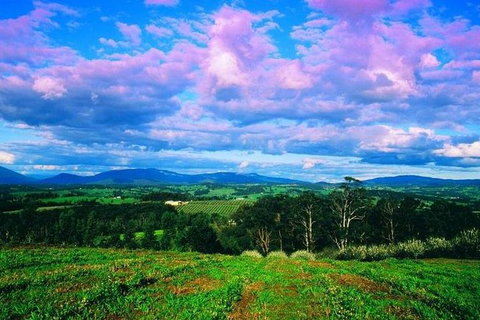 CHEVY CONVERTIBLE Package For 4 -Wine Lunch Cheese & Chocolate From Yarra Valley - Accommodation Redcliffe 7