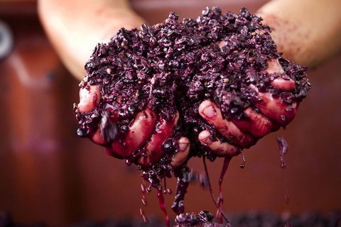 CHEVY CONVERTIBLE Package For 4 -Wine Lunch Cheese & Chocolate From Yarra Valley - Accommodation Redcliffe 5