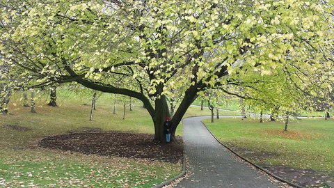 Hobart City Sightseeing Tour Including MONA Admission - Accommodation Redcliffe 3