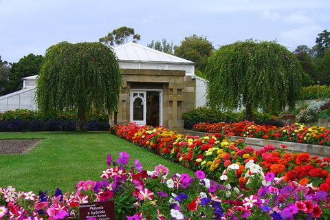 Hobart City Sightseeing Tour Including MONA Admission - Accommodation Redcliffe 9