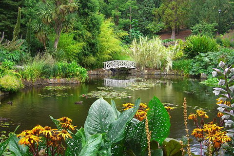 Hobart City Sightseeing Tour Including MONA Admission - Accommodation Redcliffe 7