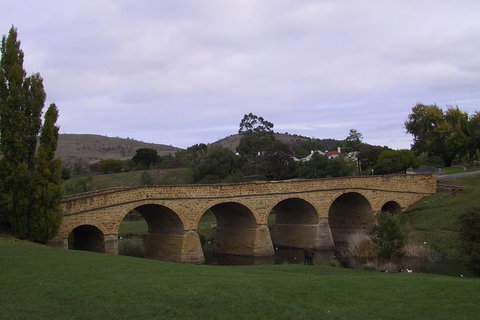 Hobart Shore Excursion: Half Day Bonorong Wildlife Park With Richmond Tour - Accommodation Redcliffe 1