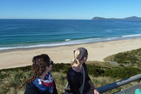 Small-Group Day Trip From Hobart To Bruny Island - Accommodation Redcliffe 9