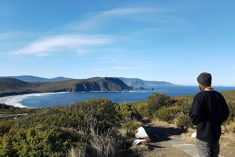 Small-Group Day Trip From Hobart To Bruny Island - Accommodation Redcliffe 6