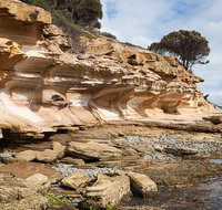 Maria Island premium private photo-oriented day tour from Hobart - Accommodation Redcliffe