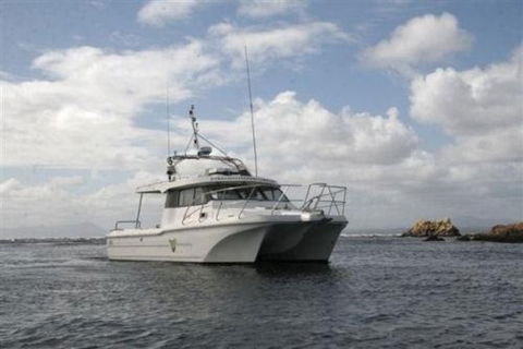 Bonnet Island Experience Departing From Strahan - Accommodation Redcliffe 1