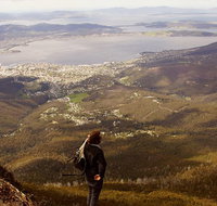 Mt Wellington Half Day Guided Summit Hike - Accommodation Redcliffe