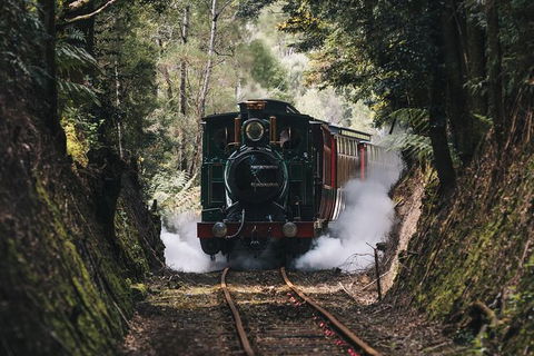 West Coast Wilderness Railway: River And Rainforest From Strahan - Accommodation Redcliffe 0