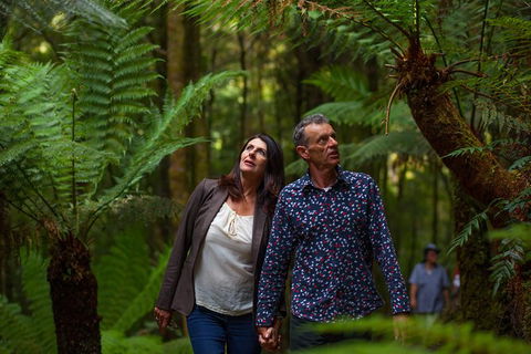 West Coast Wilderness Railway: River And Rainforest From Strahan - Accommodation Redcliffe 3