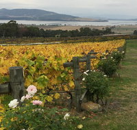 Mona and Wine Experience Tour - Accommodation Redcliffe