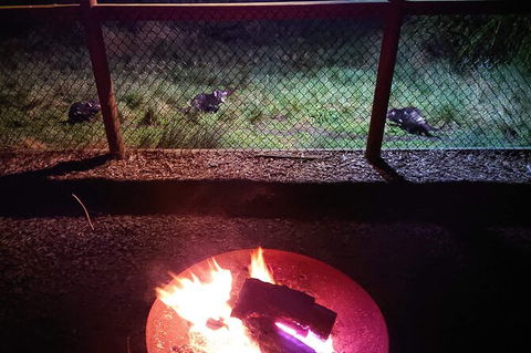 Sunset Experience - Accommodation Redcliffe 5