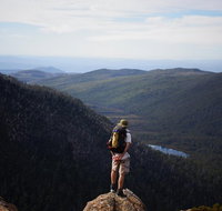 Mount Field National Park - Tarn Shelf  Russell Falls - Guided Hiking Tour - Accommodation Redcliffe