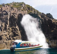 Full-Day Bruny Island Tour from Hobart - Accommodation Redcliffe