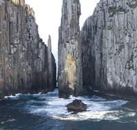 Day Trip to Tasman Peninsula and Port Arthur Historic Site from Hobart - Accommodation Redcliffe
