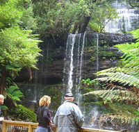 Mt Field National Park and Russell Falls from Hobart - Accommodation Redcliffe