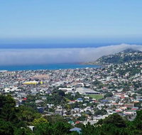 Hobart Shore Excursion Small Group Mount Wellington 3-Hour Bike Tour - Accommodation Redcliffe