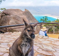 Wineglass Bay  Freycinet NP Full Day Tour from Hobart via Richmond Village - Accommodation Redcliffe
