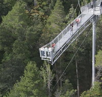 Cruise Ship Special from Hobart Mt Wellington and Tahune AirWalk - Accommodation Redcliffe