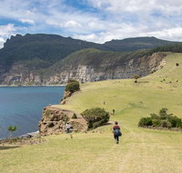 Maria Island National Park - Day Walk and Picnic Lunch - Accommodation Redcliffe