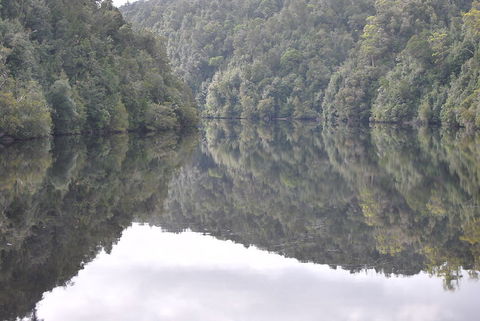 Gordon River Cruise Departing From Strahan - Accommodation Redcliffe 17