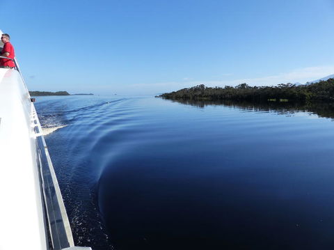 Gordon River Cruise Departing From Strahan - Accommodation Redcliffe 3