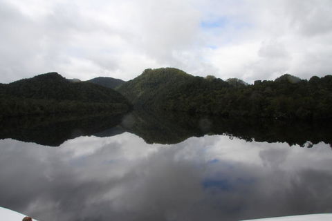 Gordon River Cruise Departing From Strahan - Accommodation Redcliffe 18