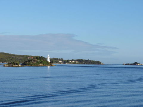 Gordon River Cruise Departing From Strahan - Accommodation Redcliffe 8