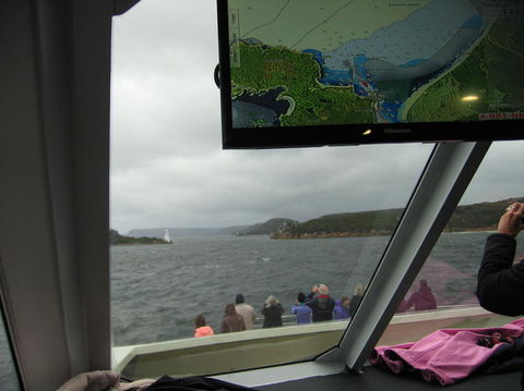 Gordon River Cruise Departing From Strahan - Accommodation Redcliffe 5