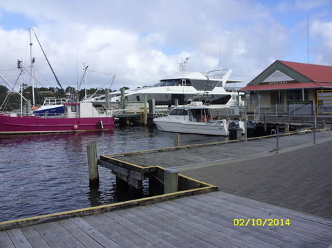 Gordon River Cruise Departing From Strahan - Accommodation Redcliffe 14