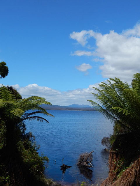Gordon River Cruise Departing From Strahan - Accommodation Redcliffe 20