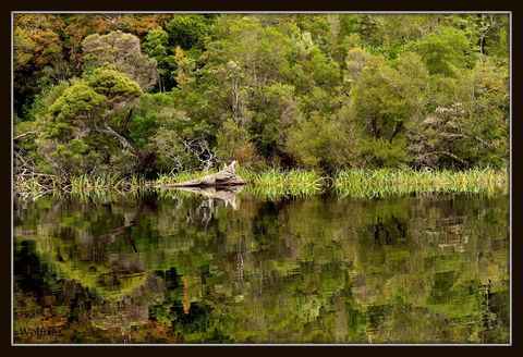 Gordon River Cruise Departing From Strahan - Accommodation Redcliffe 12