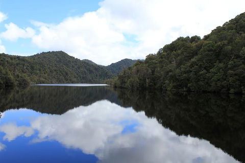 Gordon River Cruise Departing From Strahan - Accommodation Redcliffe 21