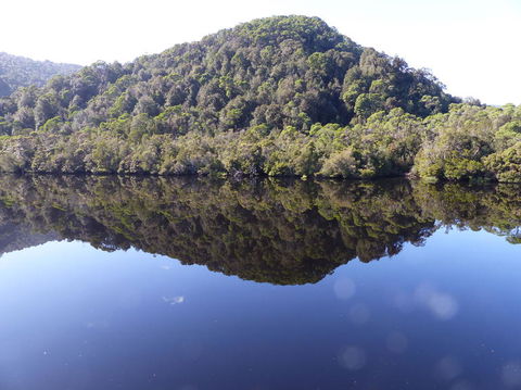 Gordon River Cruise Departing From Strahan - Accommodation Redcliffe 4