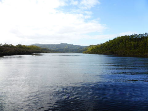 Gordon River Cruise Departing From Strahan - Accommodation Redcliffe 10