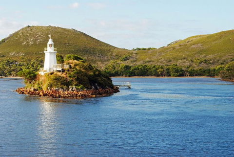 Gordon River Cruise Departing From Strahan - Accommodation Redcliffe 25