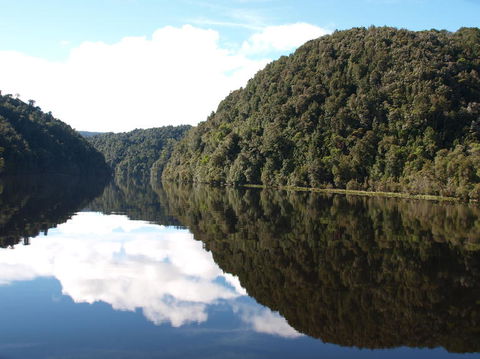 Gordon River Cruise Departing From Strahan - Accommodation Redcliffe 16