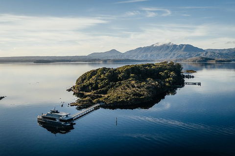Gordon River Cruise Departing From Strahan - Accommodation Redcliffe 28