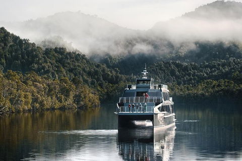 Gordon River Cruise Departing From Strahan - Accommodation Redcliffe 35