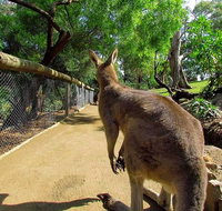 Wilderness and Wildlife - Accommodation Redcliffe