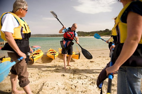 The Freycinet Paddle - Accommodation Redcliffe 7