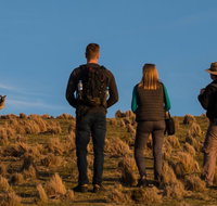 Small Group Tasmanias Wilderness And Wildlife Day Tour - Accommodation Redcliffe