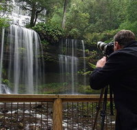 Mt Field and Styx Valley Photography Tour - Accommodation Redcliffe