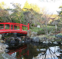 Small-group tour from Hobart Native Flora and Fauna incl. Royal Bot. Gardens - Accommodation Redcliffe