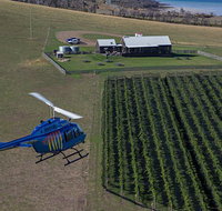 Bangor Vineyard Shed Helicopter Tour - Accommodation Redcliffe