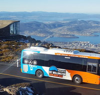 Kunany / Mt Wellington Explorer Bus - 2 Hour Return Tour - Accommodation Redcliffe