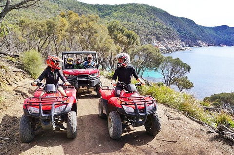 Quad Bike 2-Hour Adventure: Freycinet National Park - Accommodation Redcliffe 2