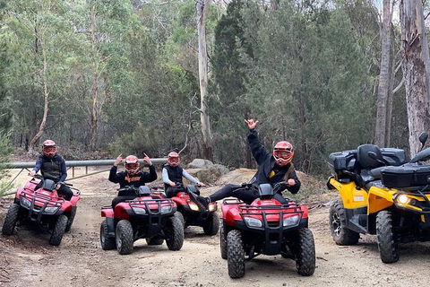 Quad Bike 2-Hour Adventure: Freycinet National Park - Accommodation Redcliffe 4